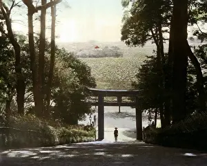 Torii: Torii and park, Japan