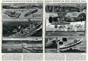 Modus: Torpedo in naval warfare by G. H. Davis