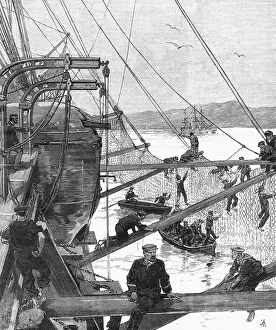 Toulon: TORPEDO NETS