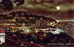 Arbour: Torquay, Devon - Illuminations (3/3)