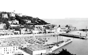 Waldon: Torquay, from Waldon Hill 1888