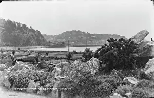 Torquay: Torre Abbey Gardens