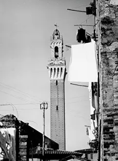 Mangia: Torre del Mangia, Siena