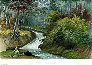 Vaillant: Torrent At Pulo, Penang