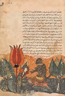Kalila: The Tortoise Ferries the Monkey, Folio from a