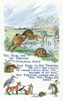 Fables: Tortoise and Hare run a race