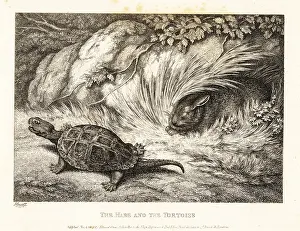 Overtake: A tortoise overtakes a sleeping hare in a race