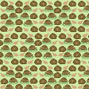 Tortoises: Tortoise repeating pattern