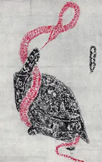 Posterity: Tortoise and Snake (symbol of the North)