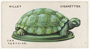 Valued: TORTOISE TALISMAN