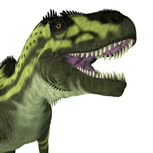 Menacing: Torvosaurus dinosaur head