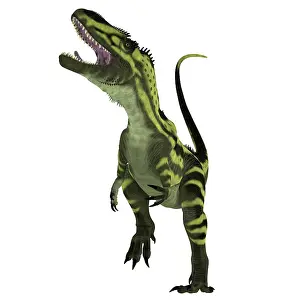 Snarling: Torvosaurus dinosaur roaring