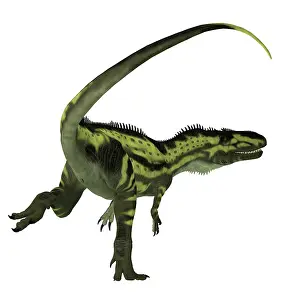 Megalosaurid: Torvosaurus dinosaur running