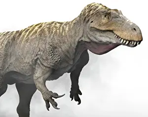 Claw: Torvosaurus dinosaur and its talons