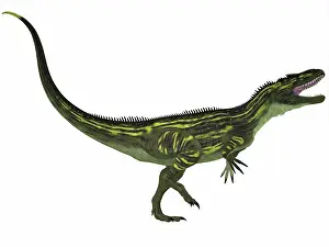 Torvosaurus: Torvosaurus, a large theropod dinosaur from the Jurassic ?