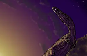 Underneath: Torvosaurus, a megalosaurid dinosaur from the Jurassic ?