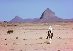 Vast: Touareg and Camel Sahara Desert