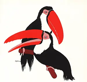 Toucans: Toucans