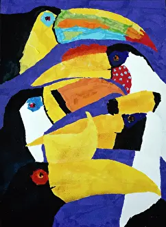 Beaks: Toucans with Yellow Beaks