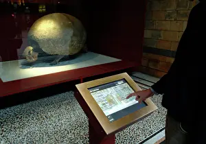Touch Screen: Touch-screen display in the Central Hall