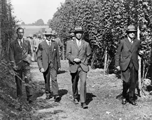 Faversham: TOUR OF KENT HOP FIELDS