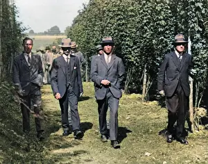 Faversham: TOUR OF KENT HOP FIELDS