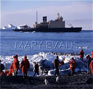 Rookery: TOURISM/ANTARCTICA/KANUS