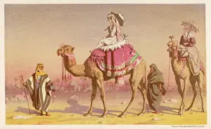 Camelback: Tourists on Camels - 1869