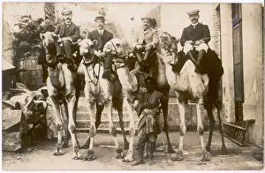 Holidaymakers: Tourists on camels - Egypt