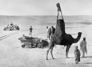 Bedouins: Tourists in the Sahara, 1928