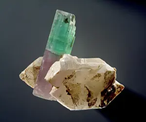 Cyclosilicate: Tourmaline crystal