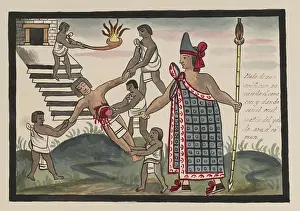 Mexica: Tovar Codex, Aztec Priest Performs Human Sacrifice
