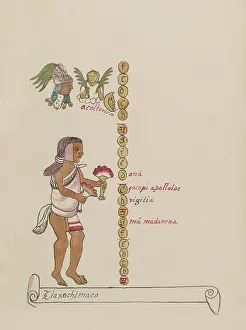 Mexica: Tovar Codex, Tlaxochimaco, 9th Month Aztec Calendar