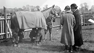 Precursor: Towcester Races paddock