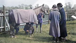 Precursor: Towcester Races paddock