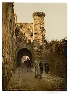 Antonia: The Tower of Antonia, Jerusalem, Holy Land
