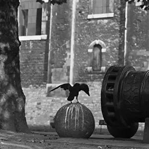 Omens: Tower Of London
