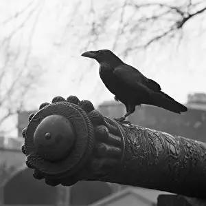 Omens: Tower Of London