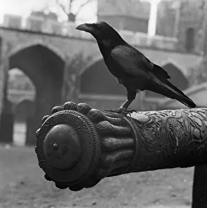 Omens: Tower Of London