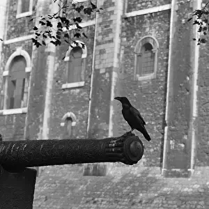 Omens: Tower Of London