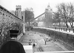 Flowerbeds: The Tower of London with the Tower Bridge in the background