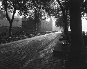Dappled: TOWER OF LONDON/WHARF