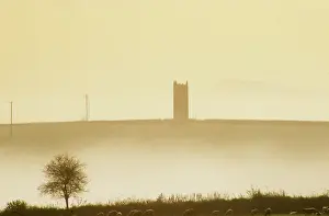 Cotehele: Tower in the mist, Cotehele, Tamar Valley, Cornwall