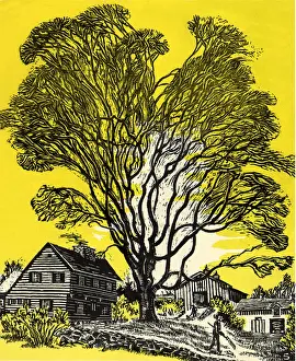 Towering: Towering Tree
