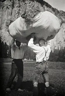 Forage: When towing of dried fodder in Gossl. About 1910
