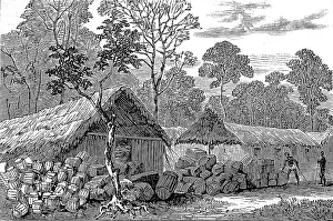 Ashanti: Town of Barracoe, Gold Coast, 1874
