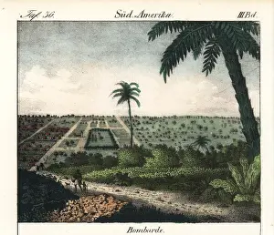 Goedsches: The town of Bombarde in Haiti