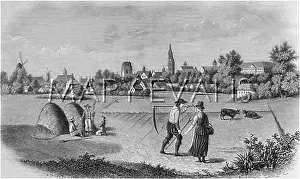 Sprawling: TOWN AND COUNTRY