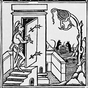 Litrature: The town mouse & country mouse