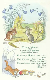 Fables: Town Mouse and Country Mouse fable
